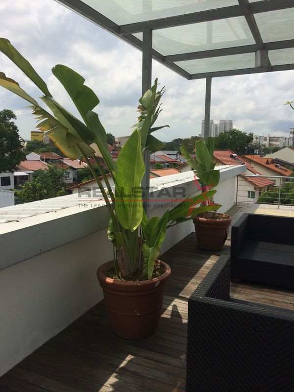 Well renovated Semi-D with spacious living @ 1KM HENRY PARK PRI